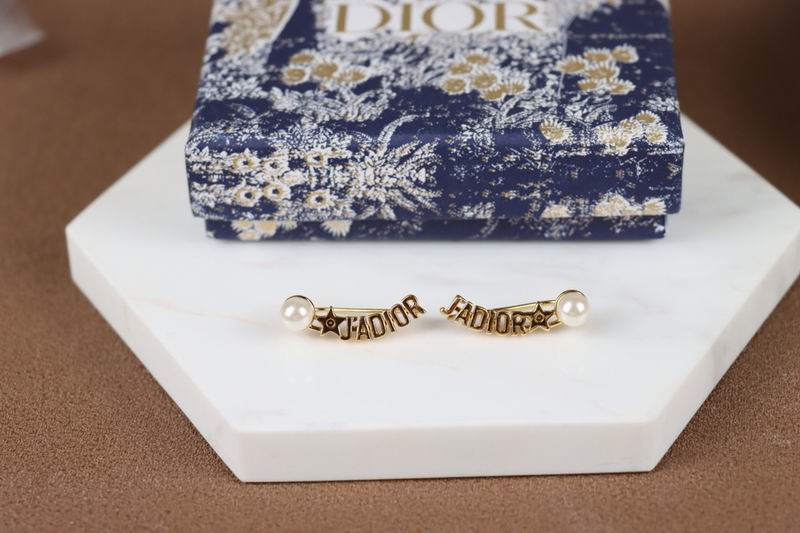 Dior Earring 04lyr236